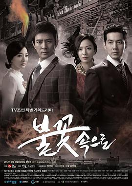 seo需要学些什么内容